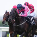 Thread Of Gold gets up to win at Galway