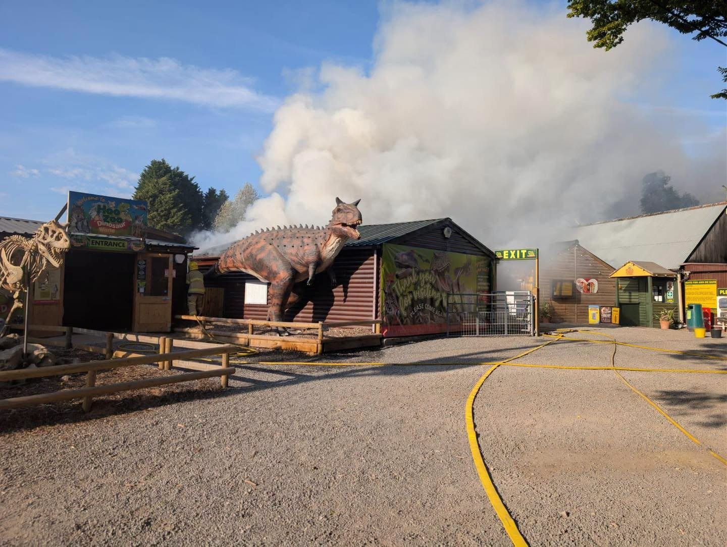 Stick Insects Snake, hedgehog and stick insects killed after fire at Shropshire zoo