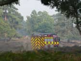 Suffolk coast wildfire