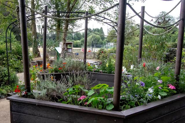 There are floral and heritage themed displays, Llanwrtyd Station is looking glorious and Dolwen Field showcases the Grow and Share garden, wild life meadow and pond, sensory garden and much more