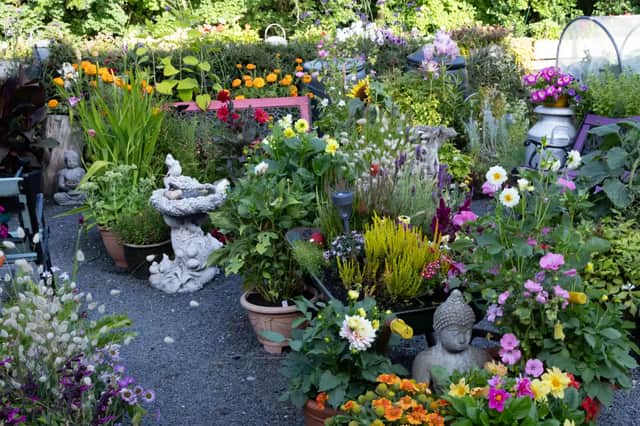 More of the stunning flowers and displays at Llanwrtyd Wells which the RHS judges were shown