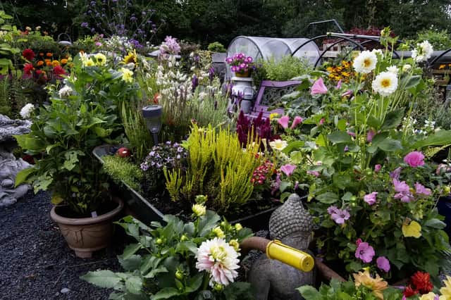 Plenty of colour, perfumes and variety of plants in the Llanwrtyd Wells Britain in Bloom entry