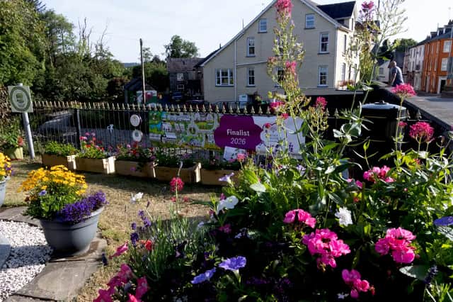 Some of the beautiful displays at Llanwrtyd Wells