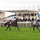 Fallen Angel is in line to return at Haydock