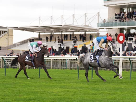 Fallen Angel is in line to return at Haydock