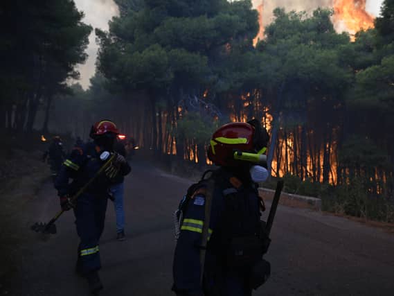 Firefighters operate near a burning forest during a wildfire near Porto Germeno in Greece