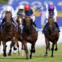 Evening Saigon (red cap) edges out Stratusnine in the Stewards' Cup