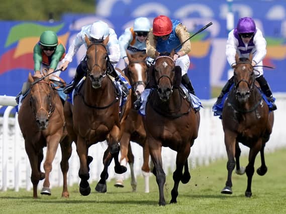 Evening Saigon (red cap) edges out Stratusnine in the Stewards' Cup