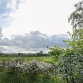 The site of the approved homes.