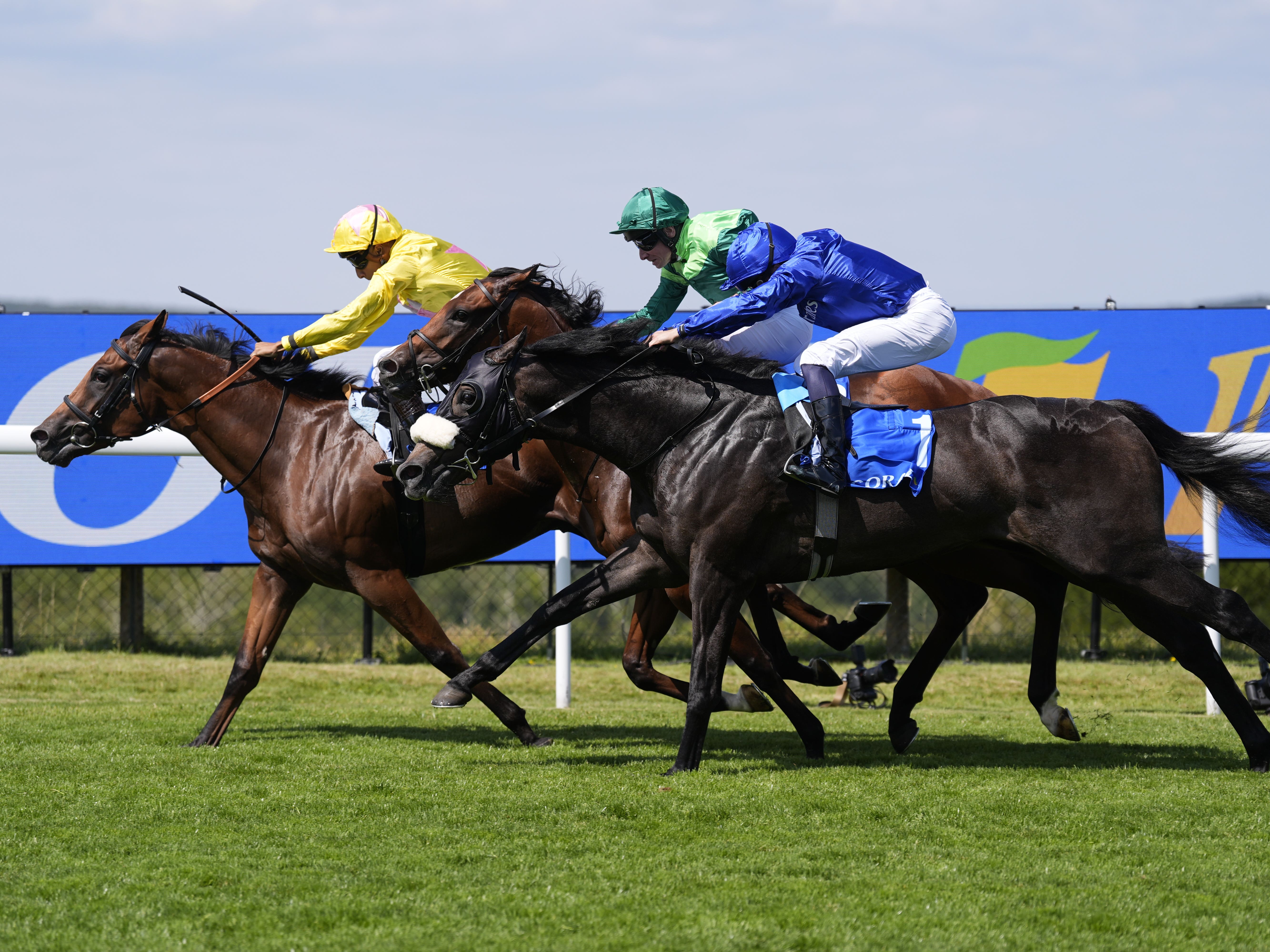 Dr Rascal (left) winning the Vintage Stakes