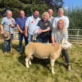 A prize winner in the sheep classes at last year's Pantydwr Show