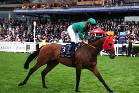 Daryz did not sparkle at Royal Ascot