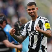 Bruno Guimaraes celebrates a Newcastle win