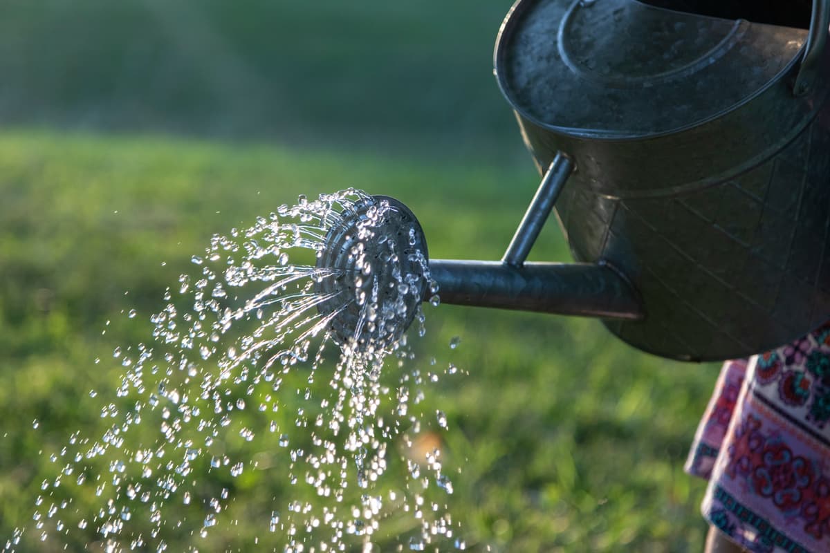 Severn Trent veröffentlicht ein verbindliches Update, nachdem heute ein ...