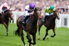 Orthodox was impressive at Royal Ascot