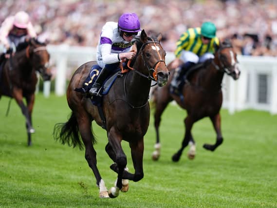 Orthodox was impressive at Royal Ascot