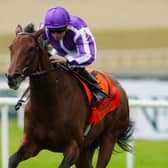 Sun Goddess on her way to to winning the Keeneland Phoenix Stakes