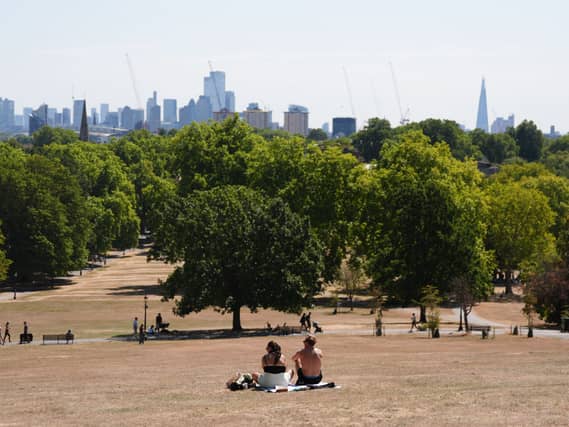 People sitting in a parched park