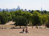People sitting in a parched park