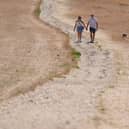 Two people walk along a path through a parched park