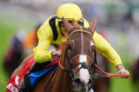 Sallaal is a horse firmly on the upgrade