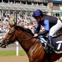 Newcastle Races – Saturday June 27th