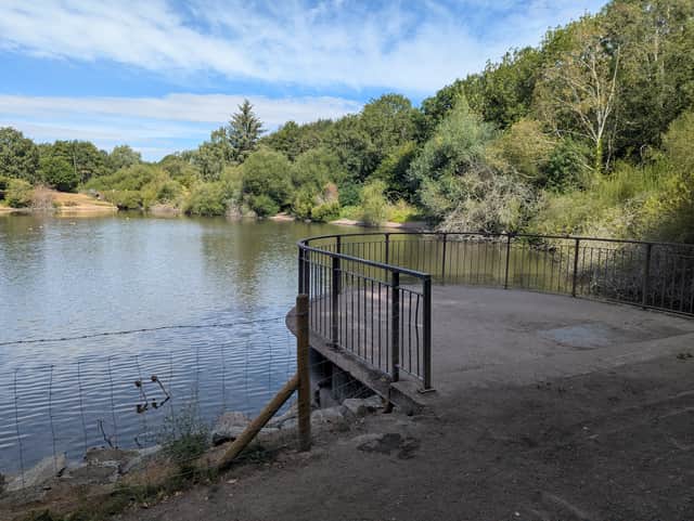 The lake where the dog was found.