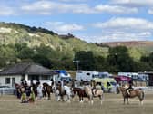The Welsh Pony & Cob Society 125th Anniversary Show held at the Royal Welsh Showground, Llanelwedd, Builth Wells. 
