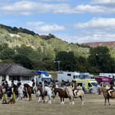 The Welsh Pony & Cob Society 125th Anniversary Show held at the Royal Welsh Showground, Llanelwedd, Builth Wells. 