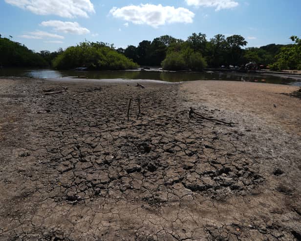 Dry cracked mud bed