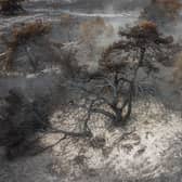Aerial footage following a wildfire at Dunwich Heath in Suffolk. (National Trust Images/ Justin Minns/ PA)