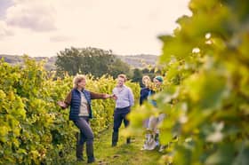 Herefordshire will launch its first dedicated wine tasting break: A Wine Tour of Herefordshire - Ancient Roots, Fresh Vintage this September