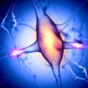A nerve cell graphic