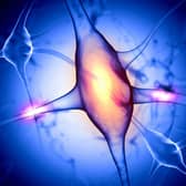 A nerve cell graphic