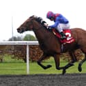 Dubai Honour is back on home soil