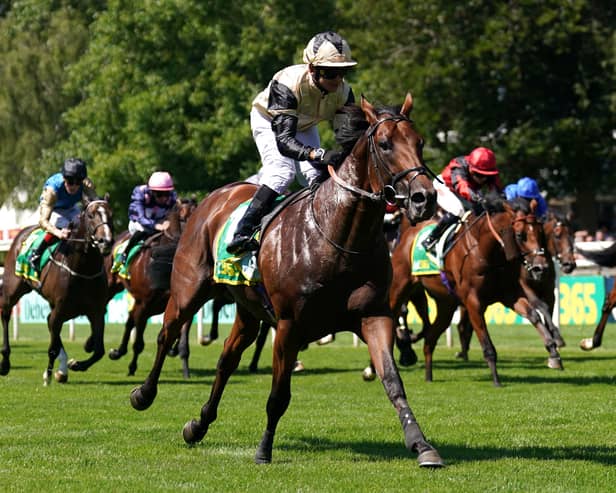 Prince Of India in action at Newmarket