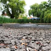 The dried bed of a village pond