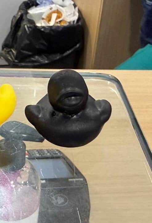 The rubber duck