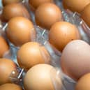 Eggs