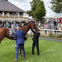 Ombudsman after running at York