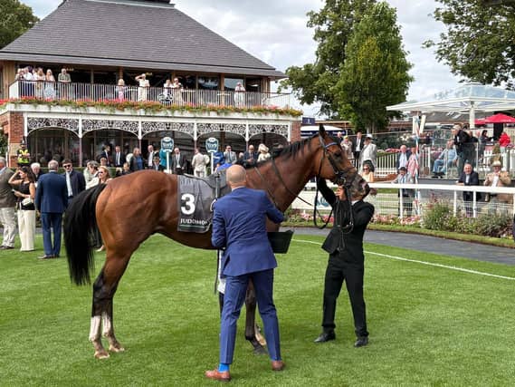 Ombudsman after running at York