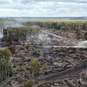A view woodland destroyed by fire, with smoke rising