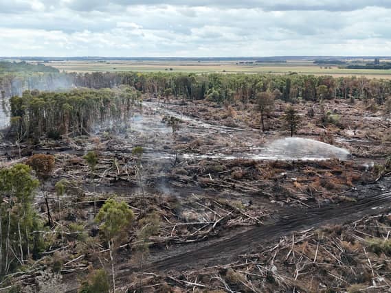 A view woodland destroyed by fire, with smoke rising