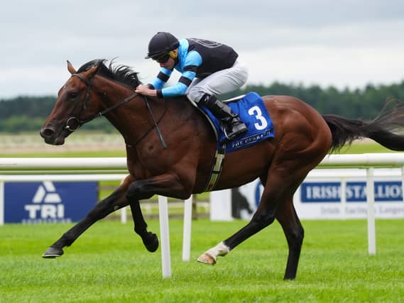 Giant Sequoia is already favourite for next year's Derby