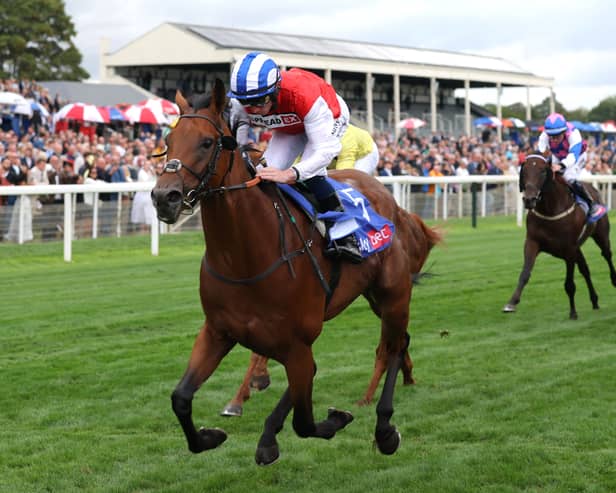 Blue Courvoisier leads the way at York