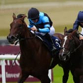 Giant Sequoia (left) winning the Futurity Stakes