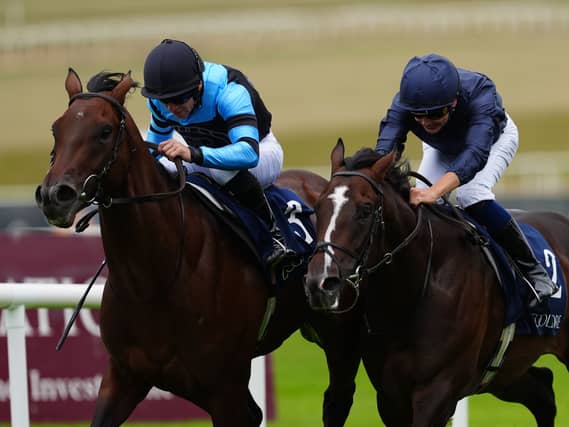 Giant Sequoia (left) winning the Futurity Stakes