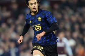 Ayyoub Bouaddi in action for Lille