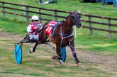Fold Megastar wins the Grade A final