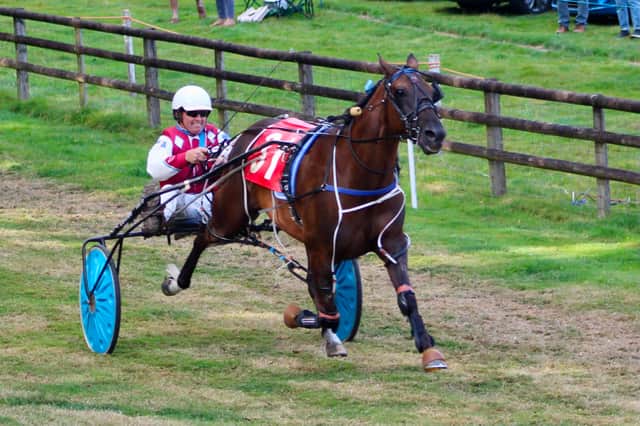 Fold Megastar wins the Grade A final